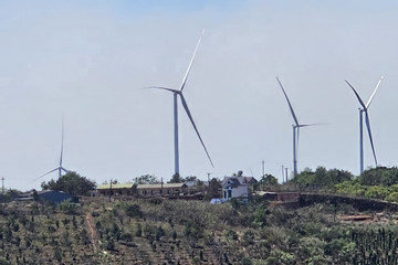 Ủy ban Kiểm tra Trung ương yêu cầu Đắk Nông cung cấp hồ sơ các dự án điện gió