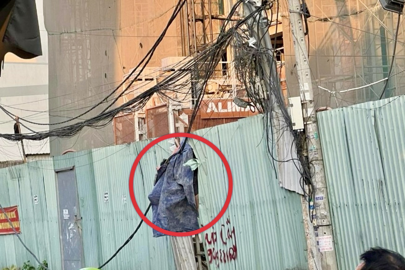 cead5b97 9cb0 487a b544 6dc3ae01b919.jpeg