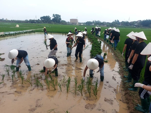 Hanoi eco-farm excursions appeal to foreigner tourists