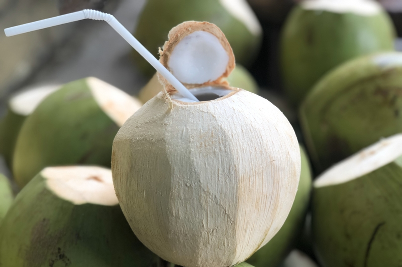 Nghỉ lễ nắng nóng kỷ lục, có nên uống nước dừa thay nước lọc?
