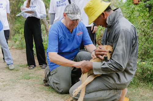 Many Vietnamese still die of rabies though the disease is preventable