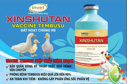 Vắc xin phòng bệnh Tembusu trên thủy cầm được nhập khẩu chính ngạch về Việt Nam