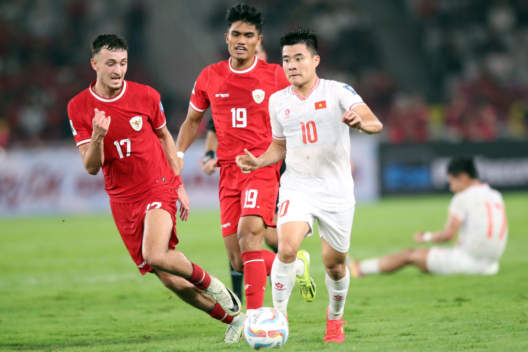 viet nam indonesia 35 1087.jpg