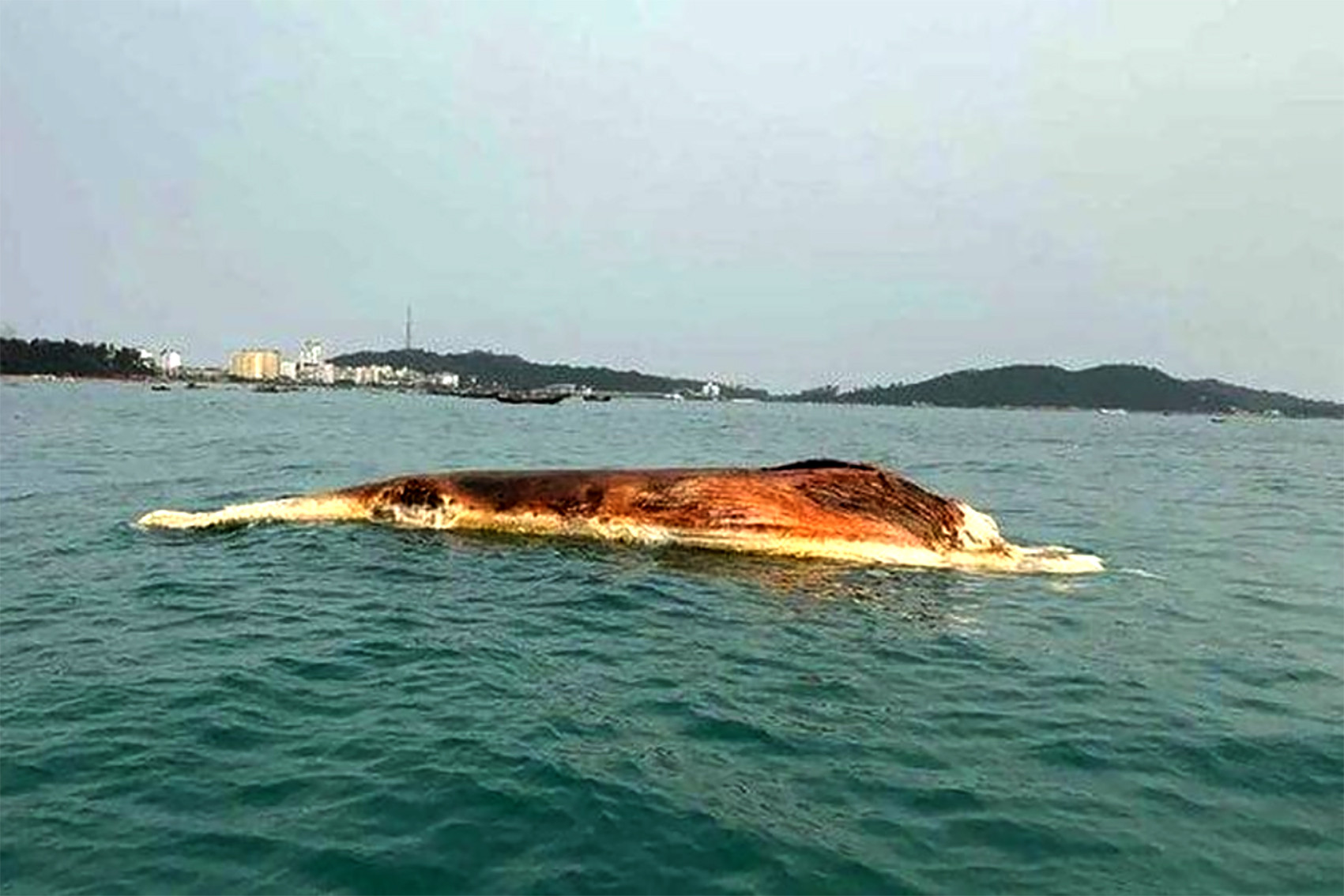 anh chup man hinh 2024 04 30 luc 121628 copy.jpg