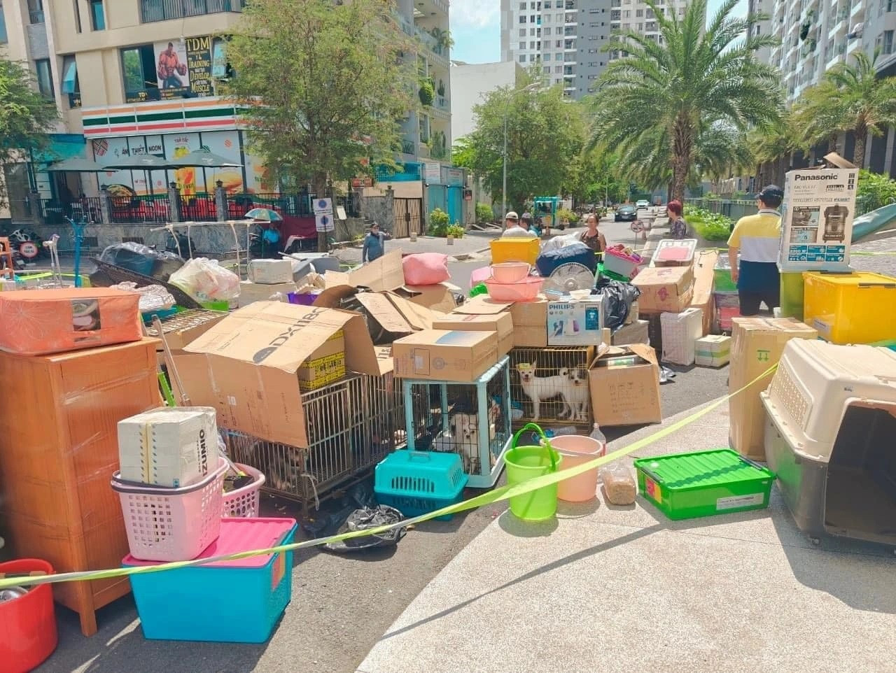 434656495102356407375854123084931477768679186n edited 1712172081004.jpg