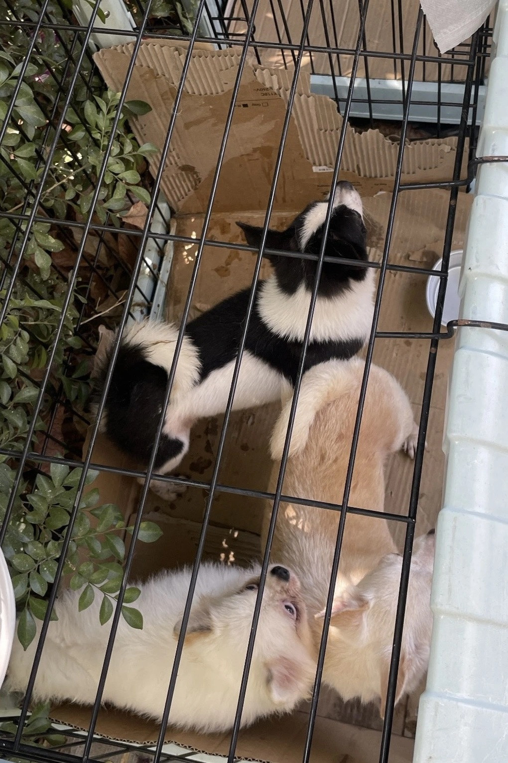 7c76acb17c67d3398a76 1712171463887.jpg