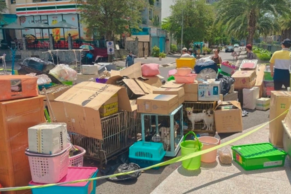 Bị 'đuổi' khỏi chung cư ở TP.HCM vì nuôi 19 chú chó: Chủ nhân nói gì?