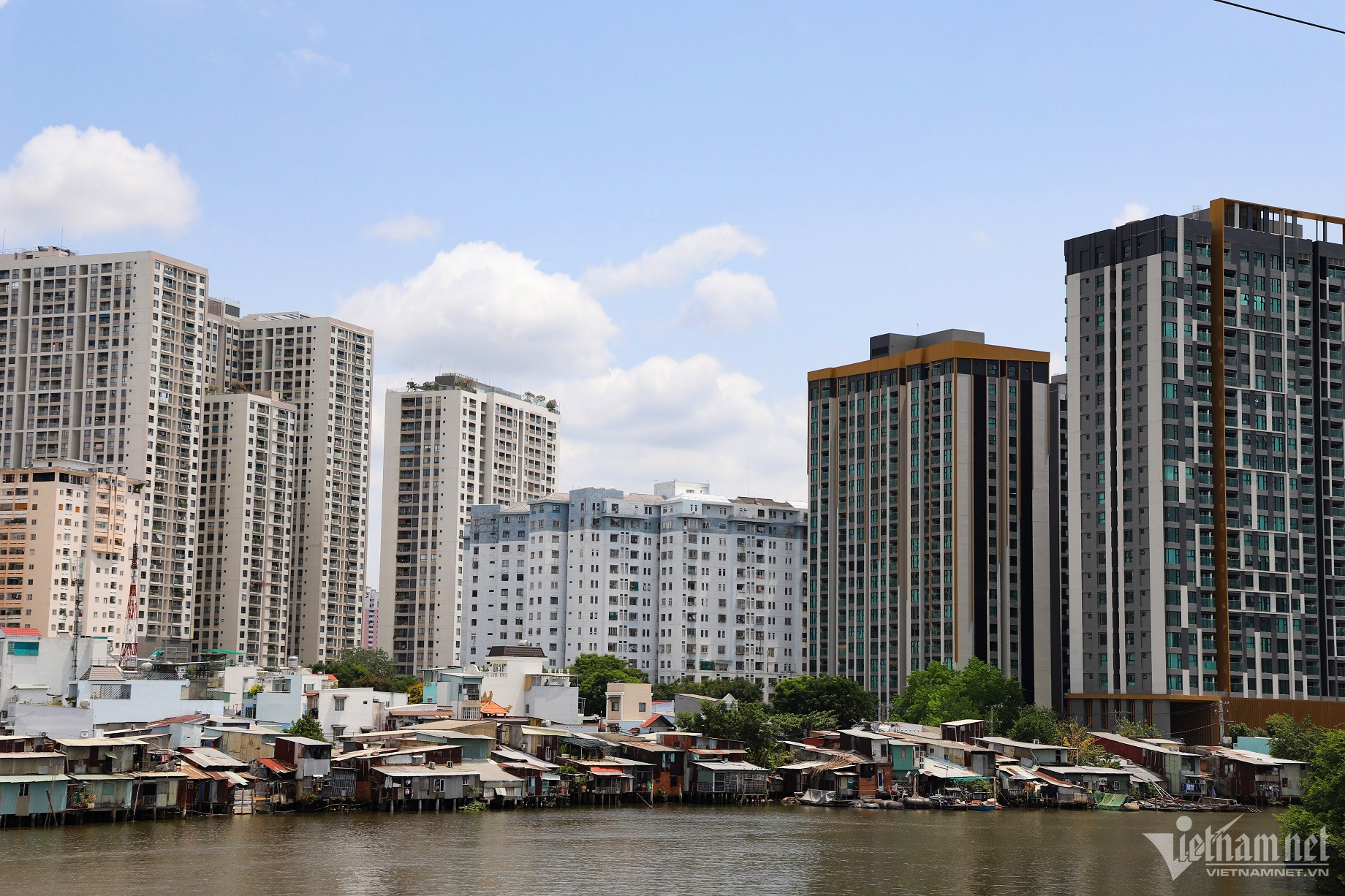 khu o chuot 1 tuan kiet.jpg