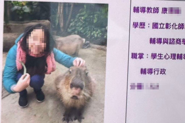 Một phụ nữ thiệt mạng vì cố cứu mèo trong trận động đất ở Đài Loan