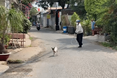Theo chân đội bắt chó thả rông đầu tiên tại Đồng Nai