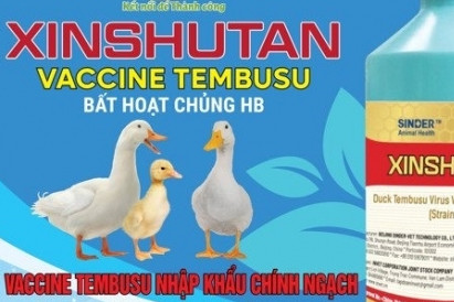 Vietnam imports three million doses of inactivated Tembusu virus vaccine