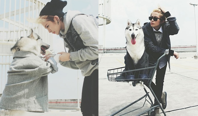 gile va cho cung.png