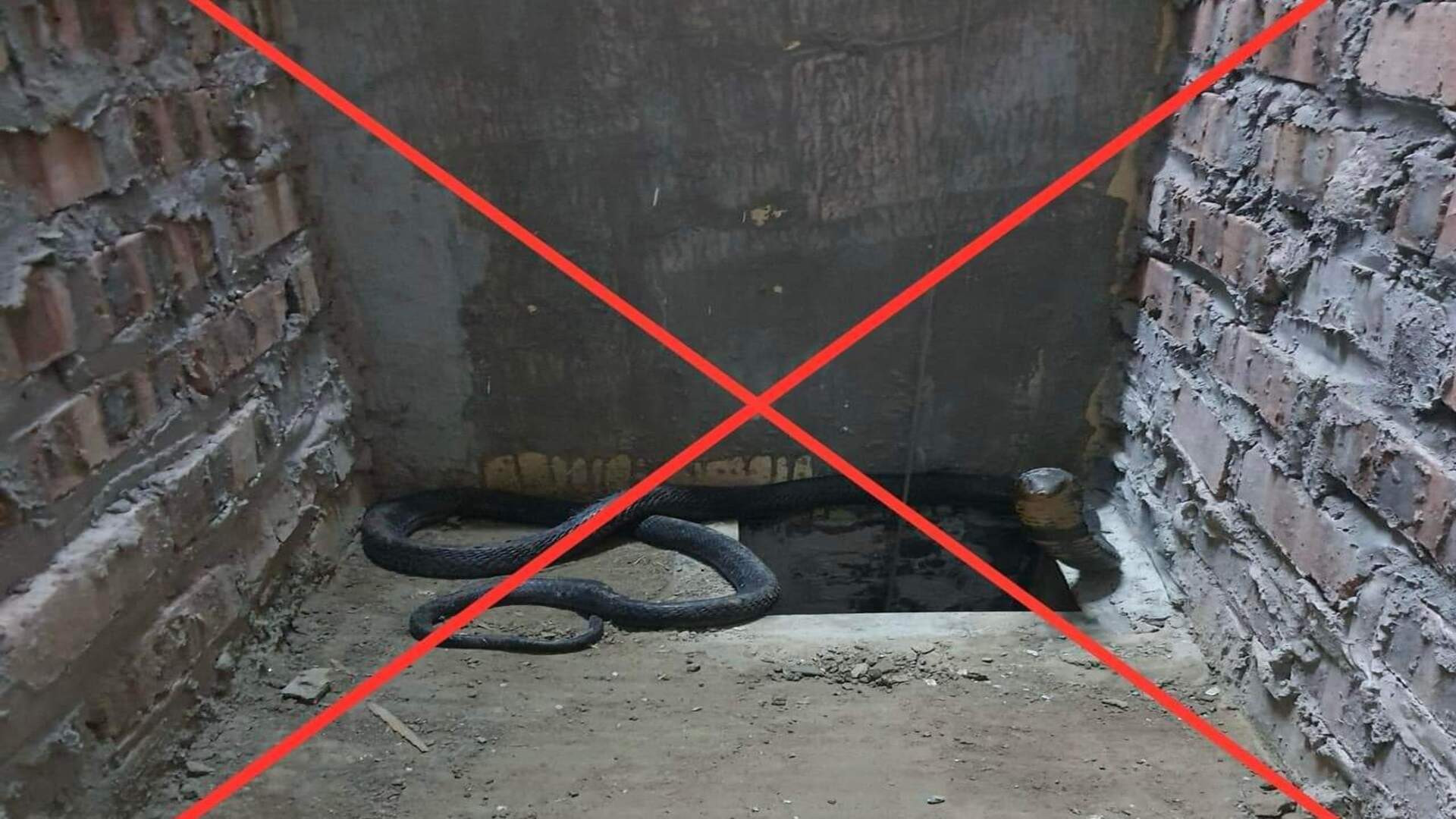 img 20240405 121803.jpg