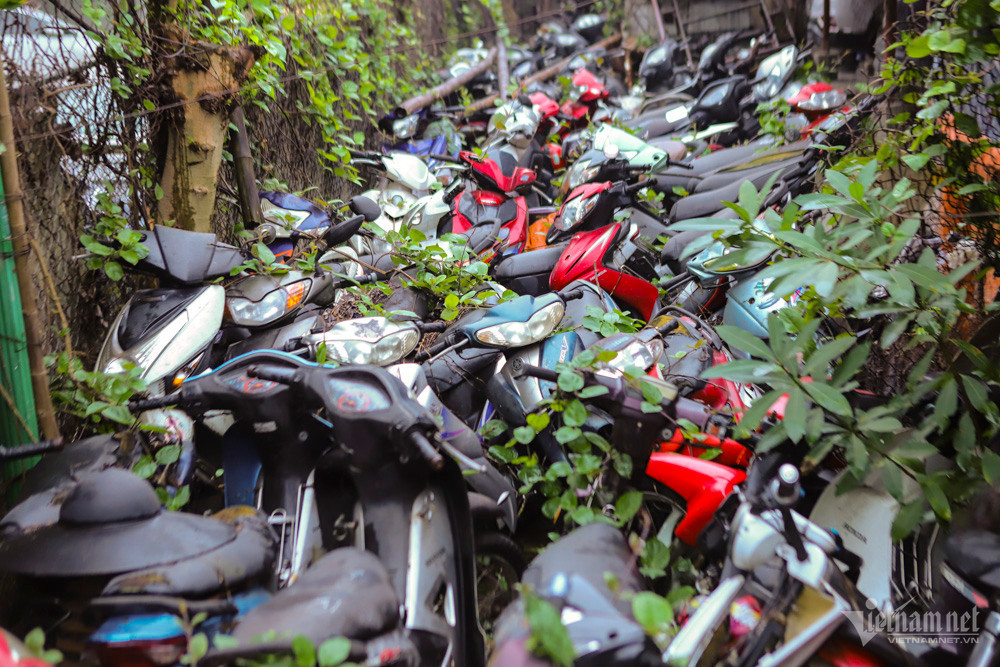 Local grounds become overloaded with thousands of seized vehicles