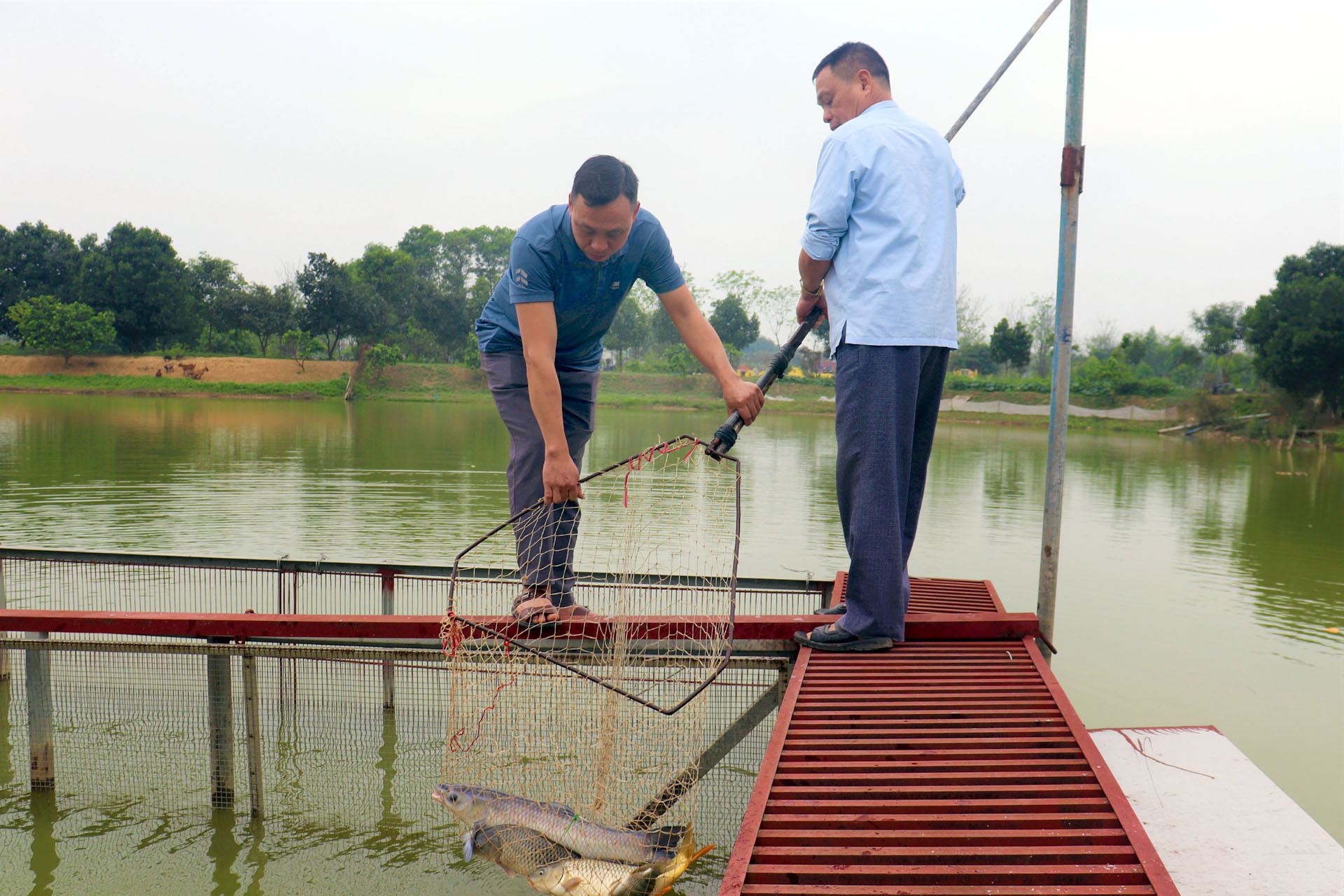 Người đàn ông nhận 'kho báu' dưới đầm hoang nhờ quyết định năm 30 tuổi