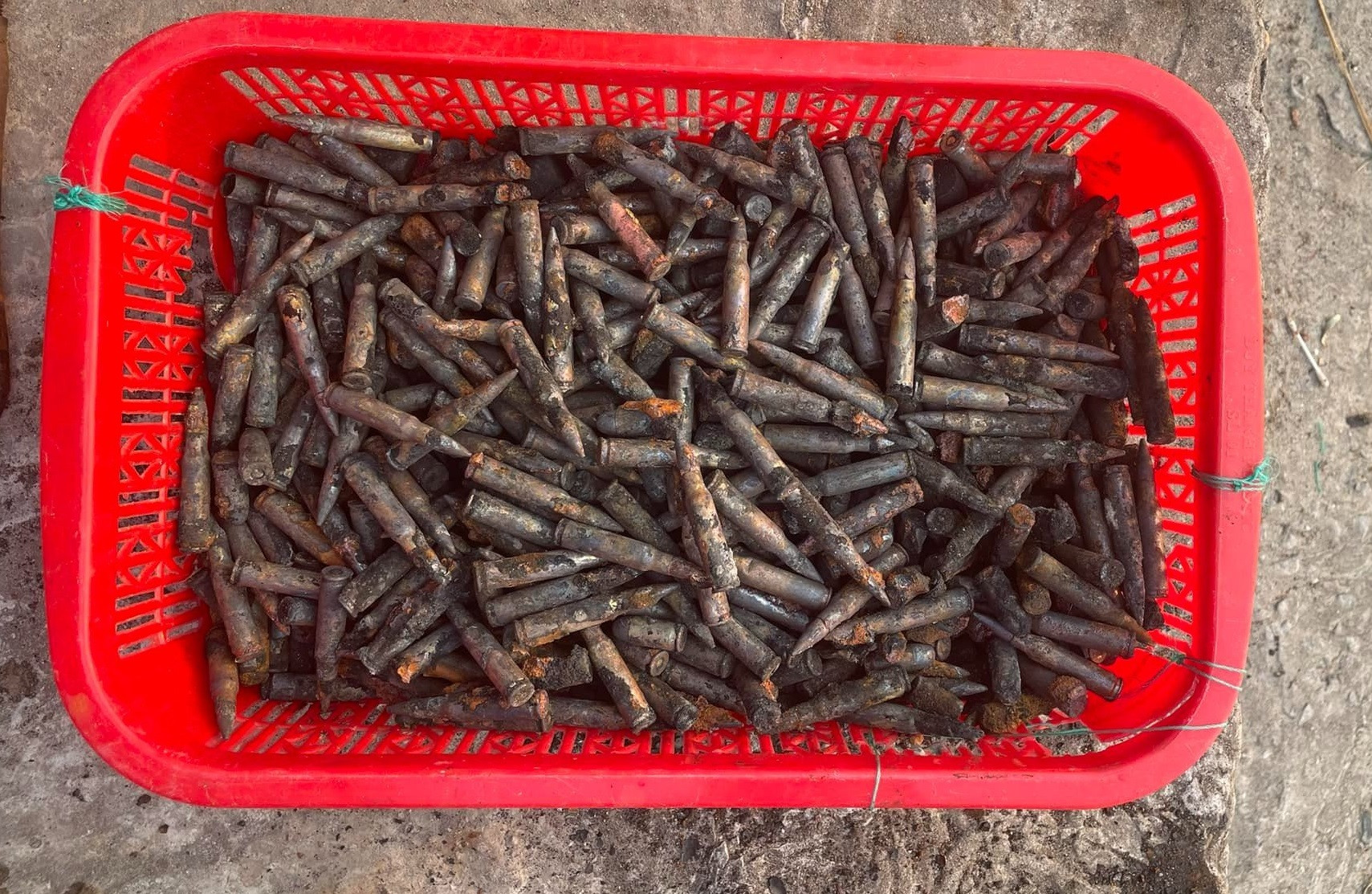 z5318607221466 a5a7ed35ed2538a8805942cdda21e43c.jpg