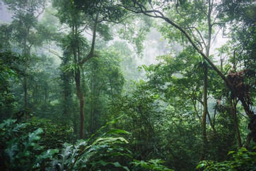 Bộ trưởng Lê Minh Hoan nhắc ‘câu thần chú’ để mở kho báu từ rừng