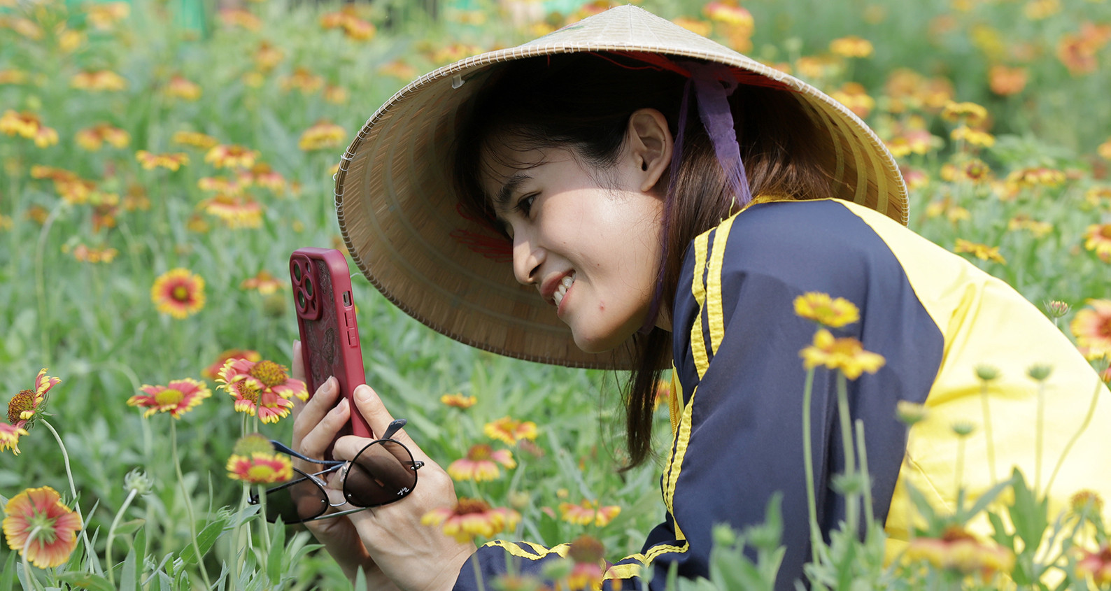 Cánh đồng hoa cúc bạt ngàn bên bờ biển níu chân du khách đến Cửa Lò