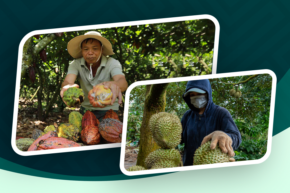 Định vị thương hiệu cho sản phẩm vùng đồng bào dân tộc thiểu số và miền núi