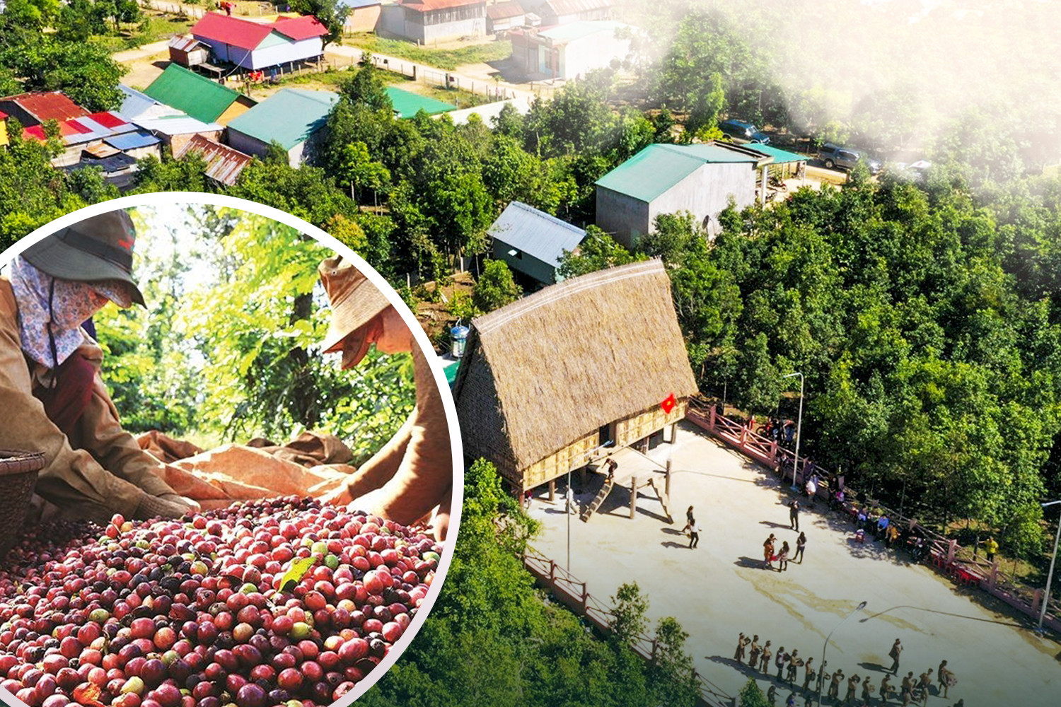 Thu hút đầu tư, mở rộng, nâng cao hiệu quả sản xuất kinh doanh ở vùng đồng bào DTTS và MN