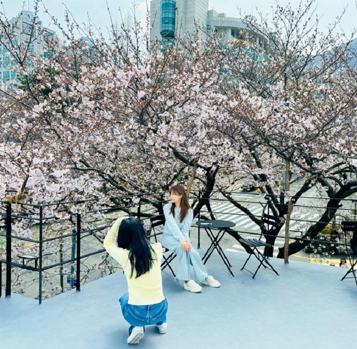 341754 tempimagexkz4cs.bmp