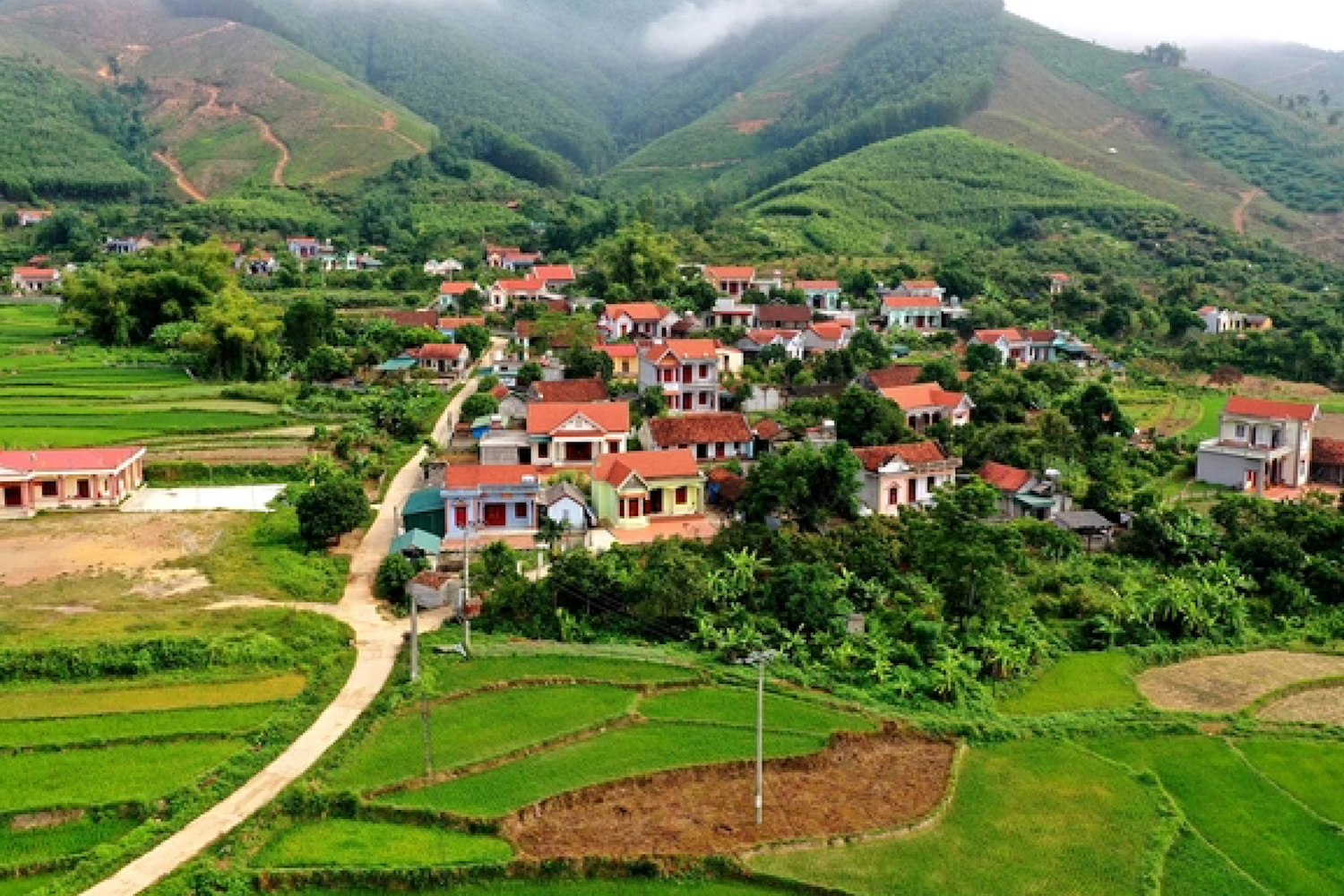 Bắc Giang: Phát triển HTX nhằm khai thác tối đa lợi thế tại vùng đồng bào DTTS