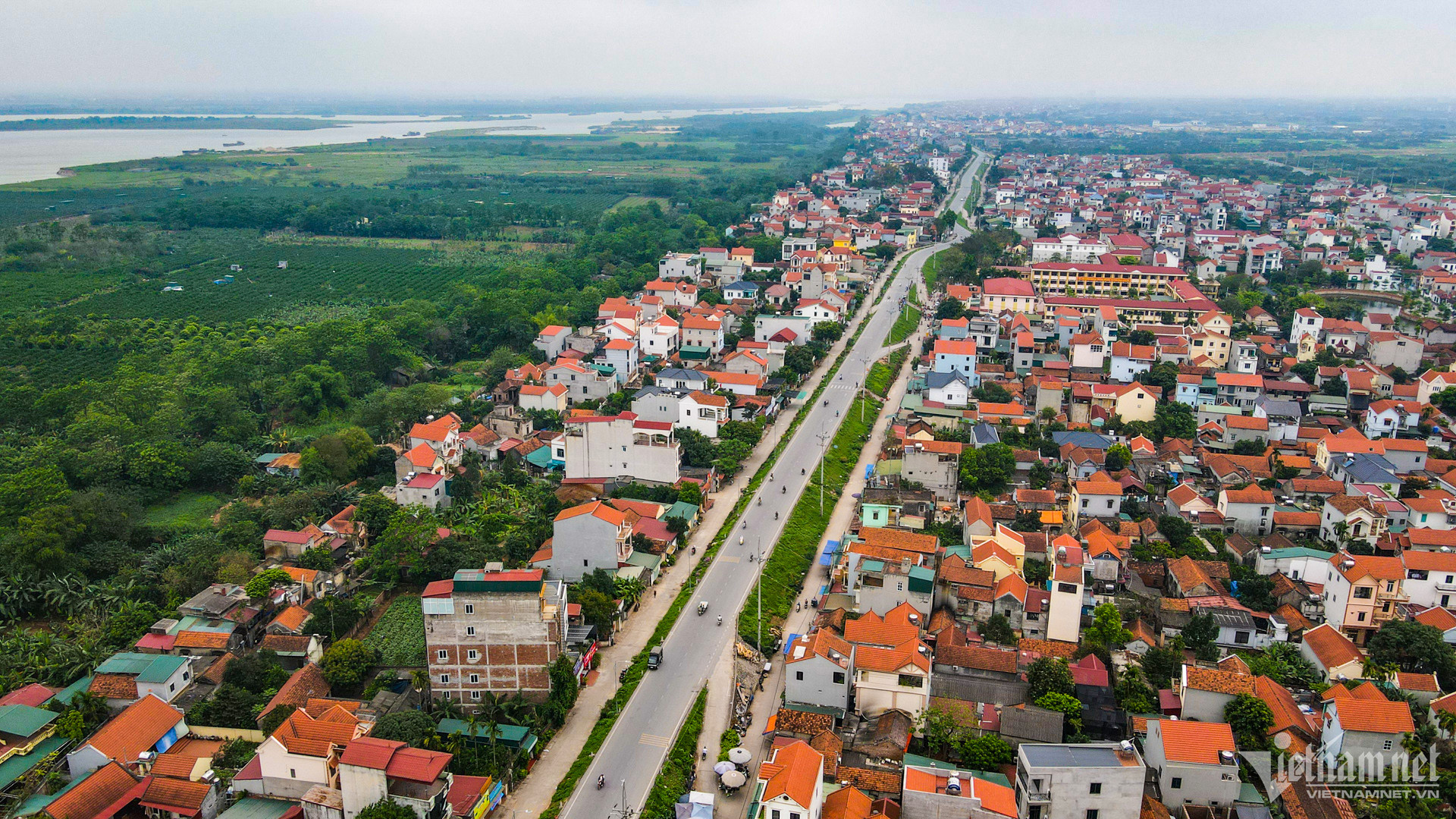 cau hong ha thach thao 1 1.jpg