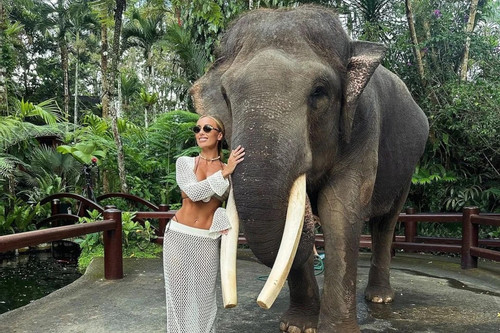 Mặc bikini tạo dáng cùng voi bị cưa ngà, nữ du khách khiến cộng đồng phẫn nộ