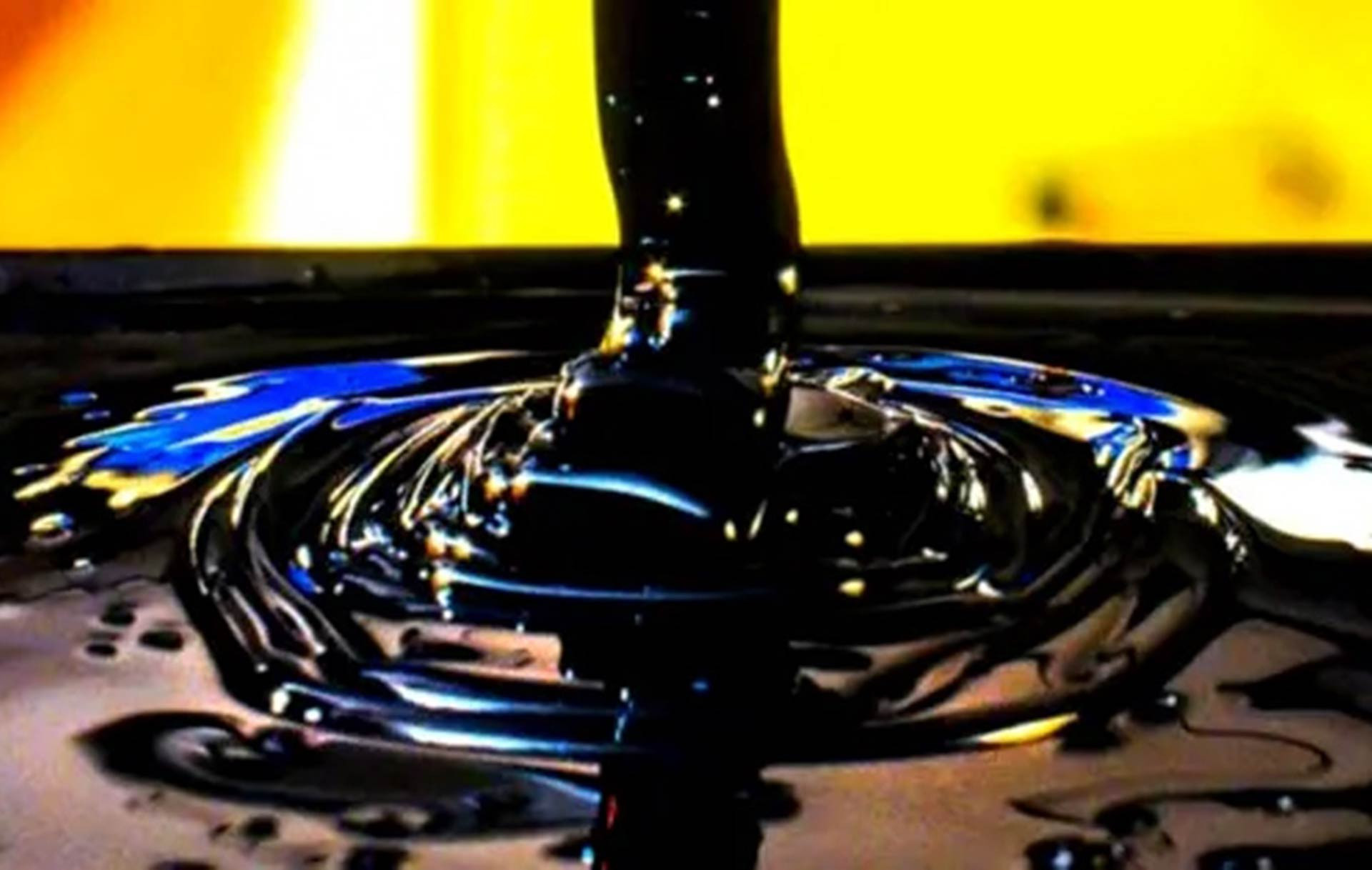 gia dau vanguardngr1.jpg