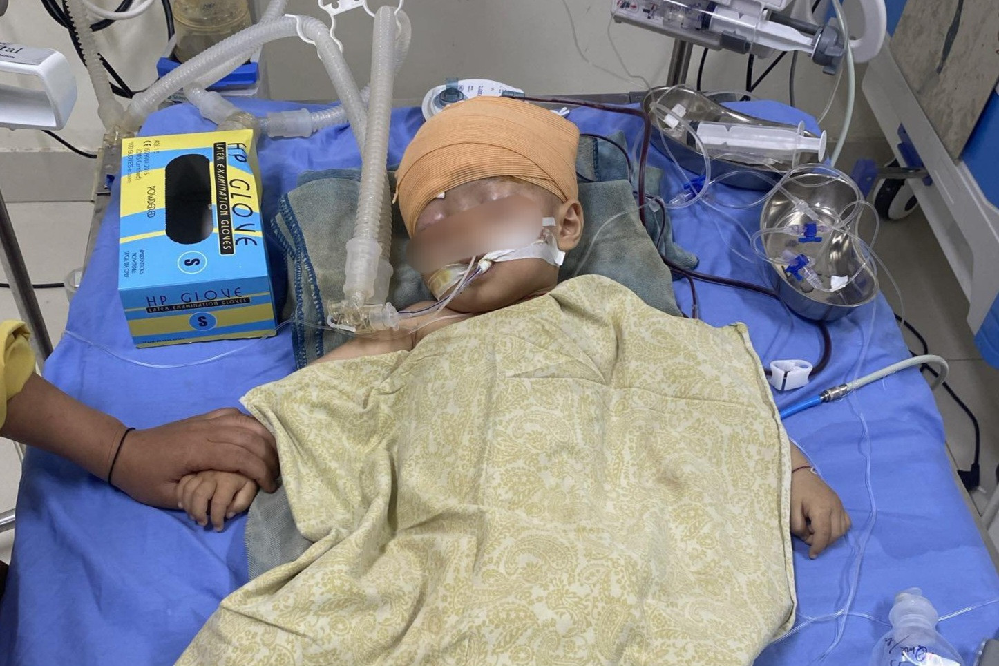 img 20240408 115746.jpg