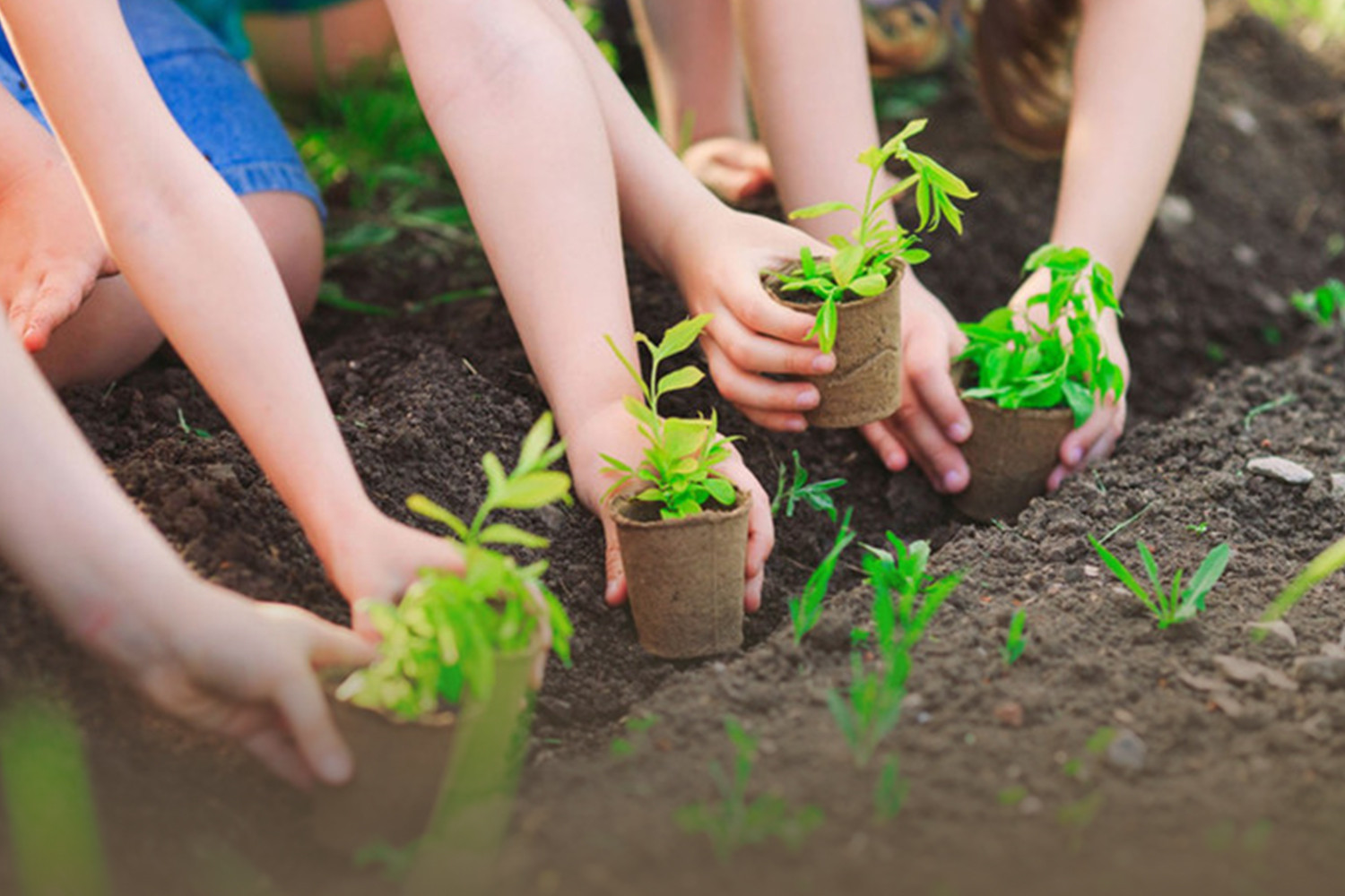 Môi trường - trụ cột quan trọng trong phát triển bền vững của đất nước