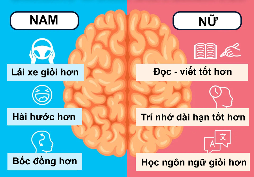 phu nu nam gioi.jpg