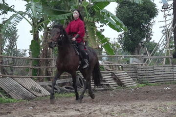 Vừa cưỡi ngựa vừa bắn cung, cô gái Hà Nội tiết lộ bí kíp chinh phục bộ môn kỵ xạ