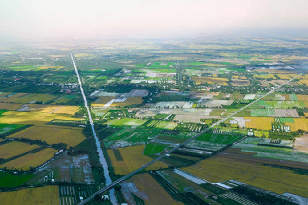 Xúc tiến đầu tư vào nông nghiệp, nông thôn miền Tây