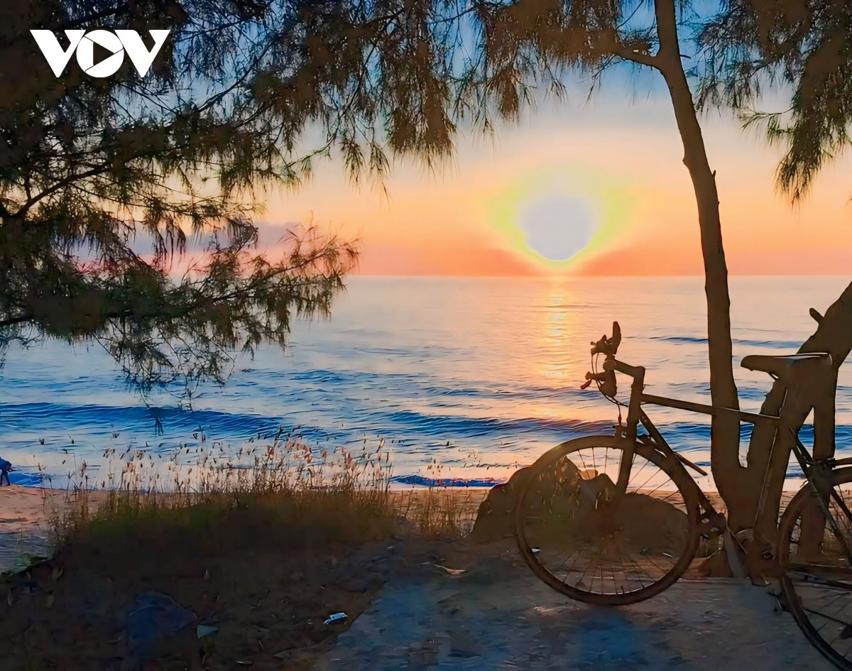 discovering pristine beauty of sa huynh beach in quang ngai province picture 9