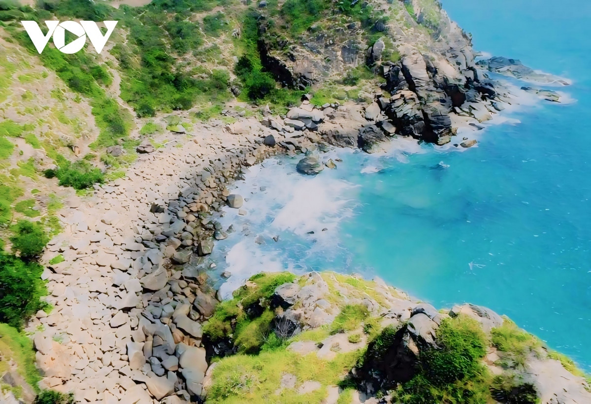 discovering pristine beauty of sa huynh beach in quang ngai province picture 11