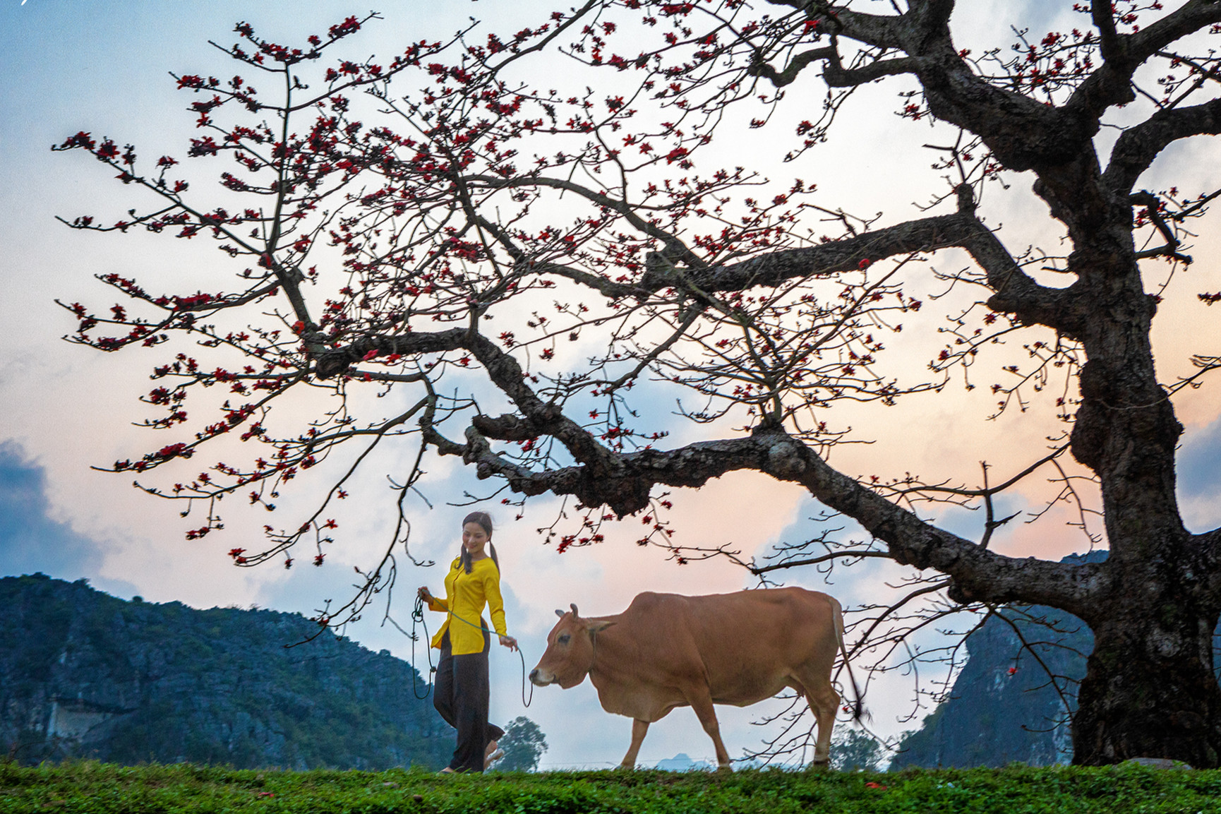 Một ngày trải nghiệm làm mẫu ảnh thú vị