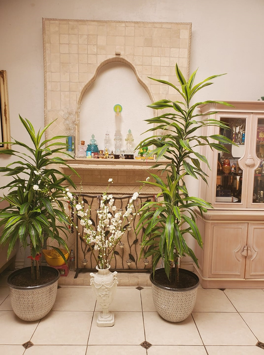 phuong hong que 08.jpg