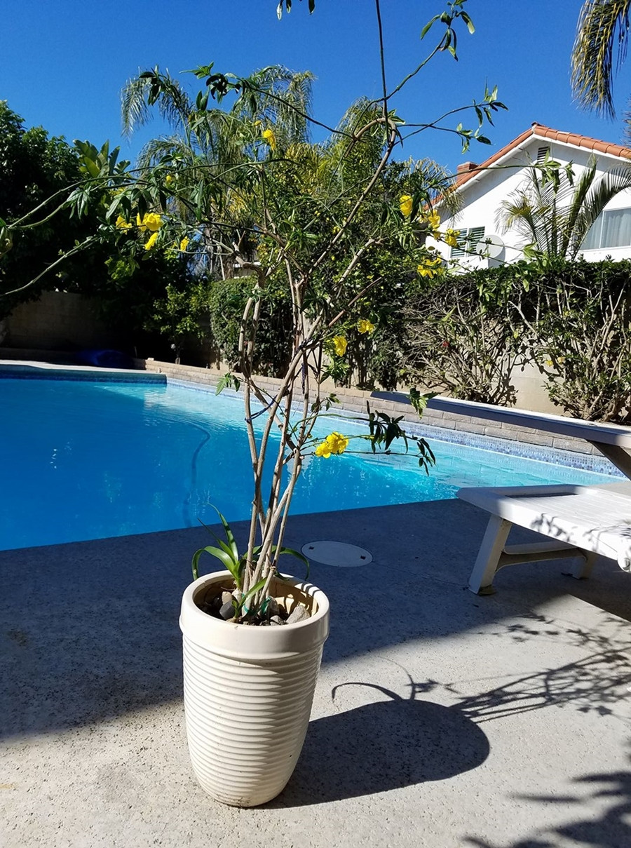 phuong hong que 10.jpg