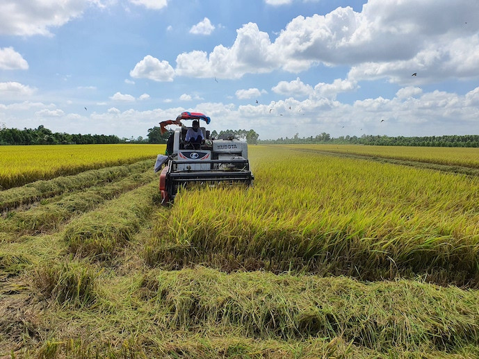 Manyeding Rice Project Vietnam seeks US$360 million loan from WB for high-quality rice project