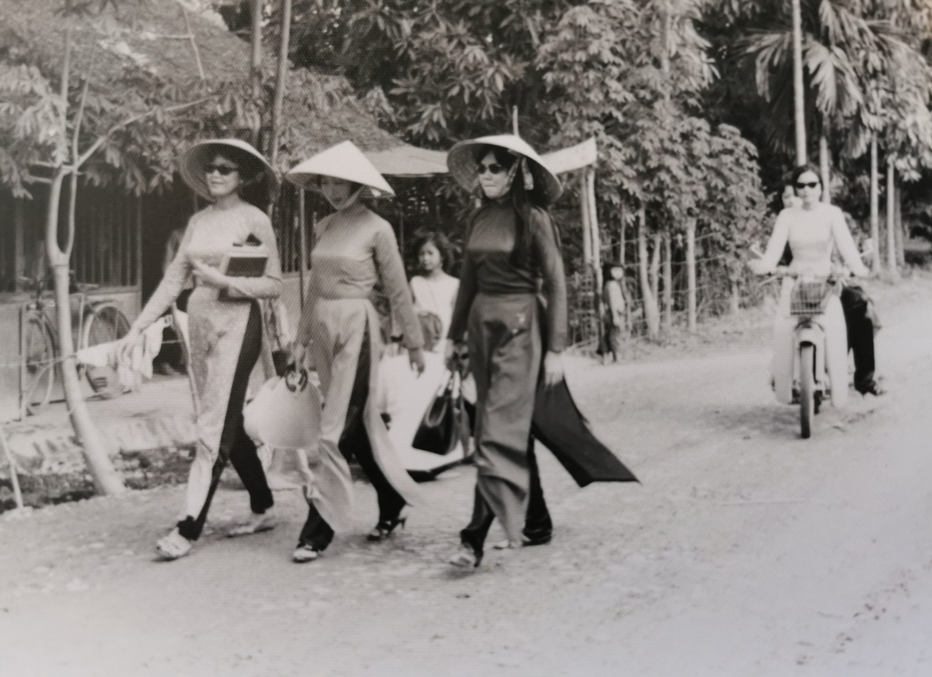 cac co giao den truong o que toi.jpg