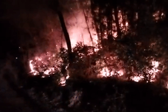Xác định được 3 người đốt thực bì gây cháy rừng ở Nghệ An