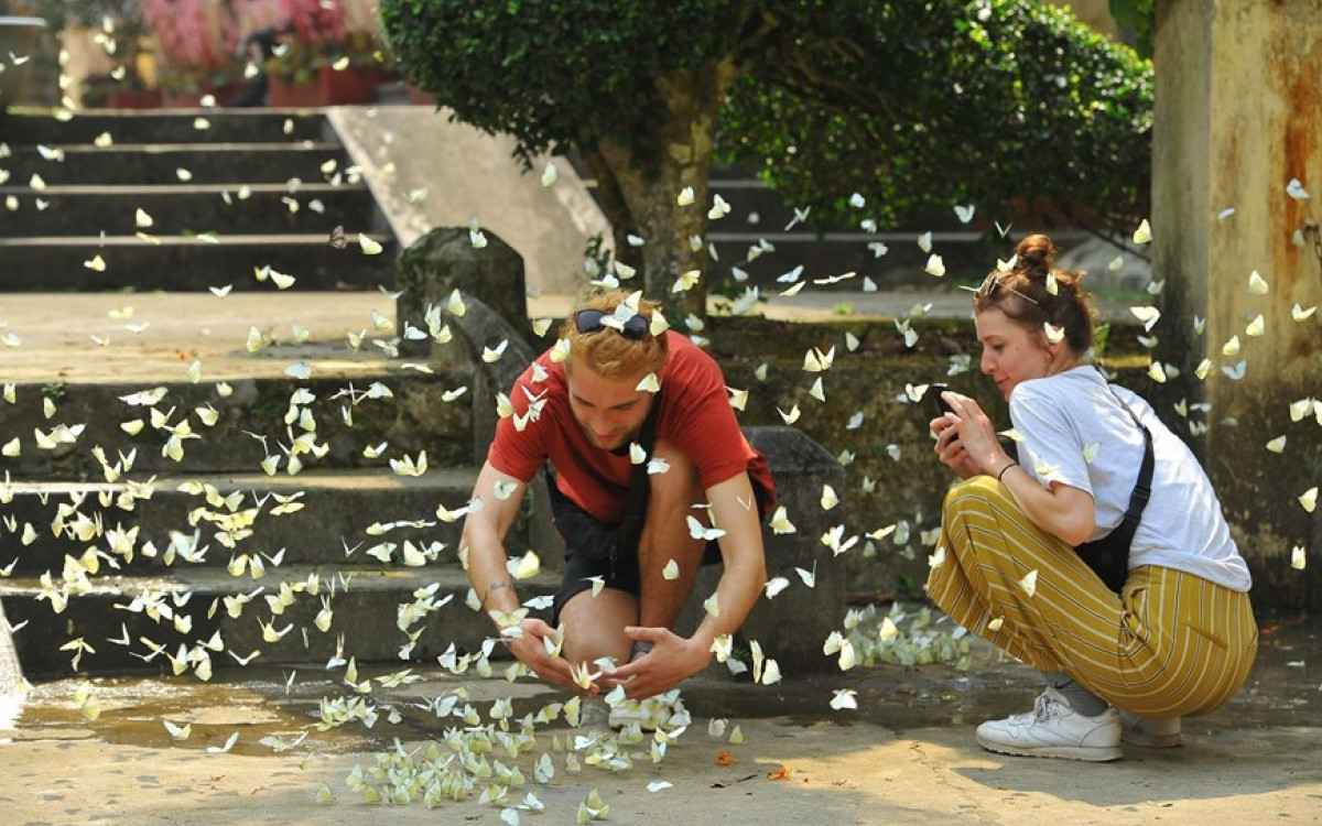 mua cave ideal check-in point for visitors during national holidays picture 8