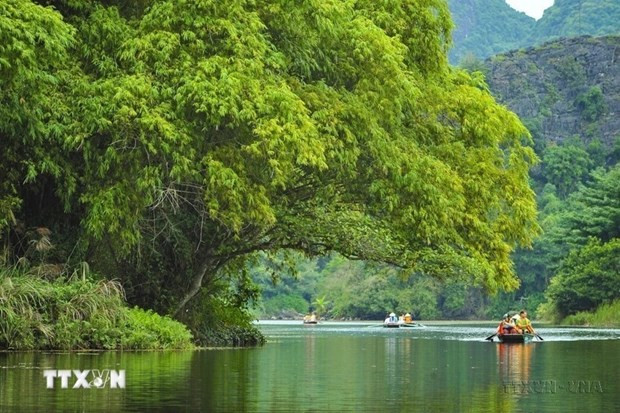Vietnam posts 271.4 trillion VND in four-month tourism revenue hinh anh 1