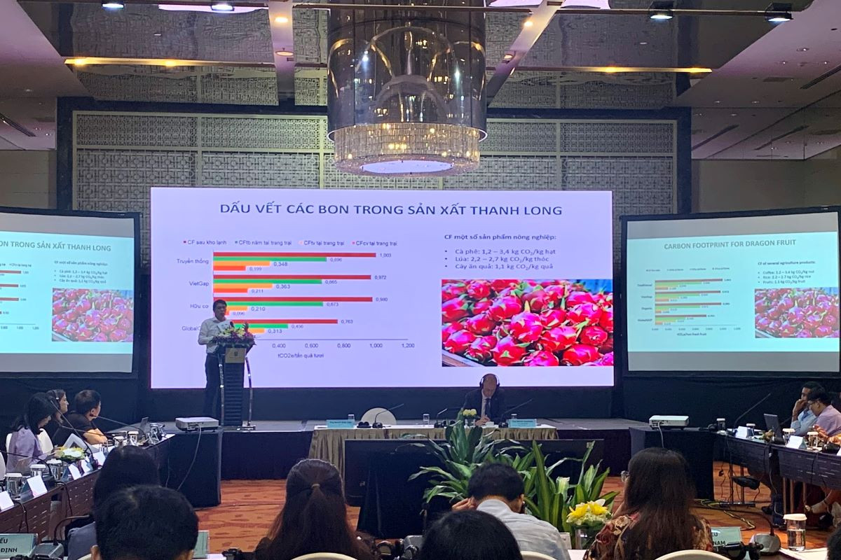 Thanh long xanh vươn xa ra thế giới