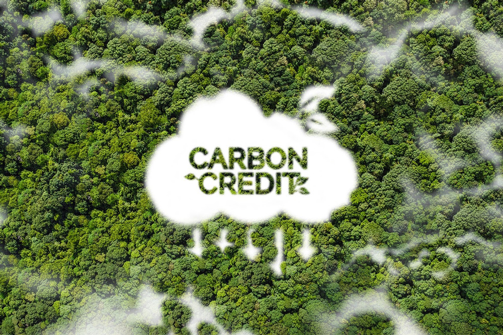 Thủ tướng yêu cầu thiết lập hệ thống đăng ký quốc gia về tín chỉ carbon