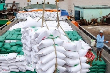 Vietnam likely to export more than 8 million tonnes of rice this year