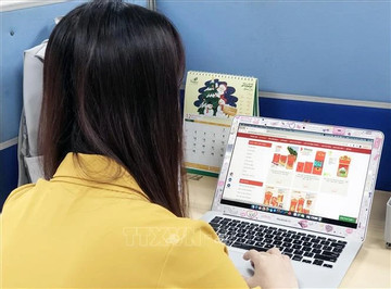More businesses to join Vietnam E-Pavilion