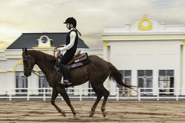 Trải nghiệm học cưỡi ngựa ‘chuẩn’ hoàng gia tại Vinhomes Royal Island