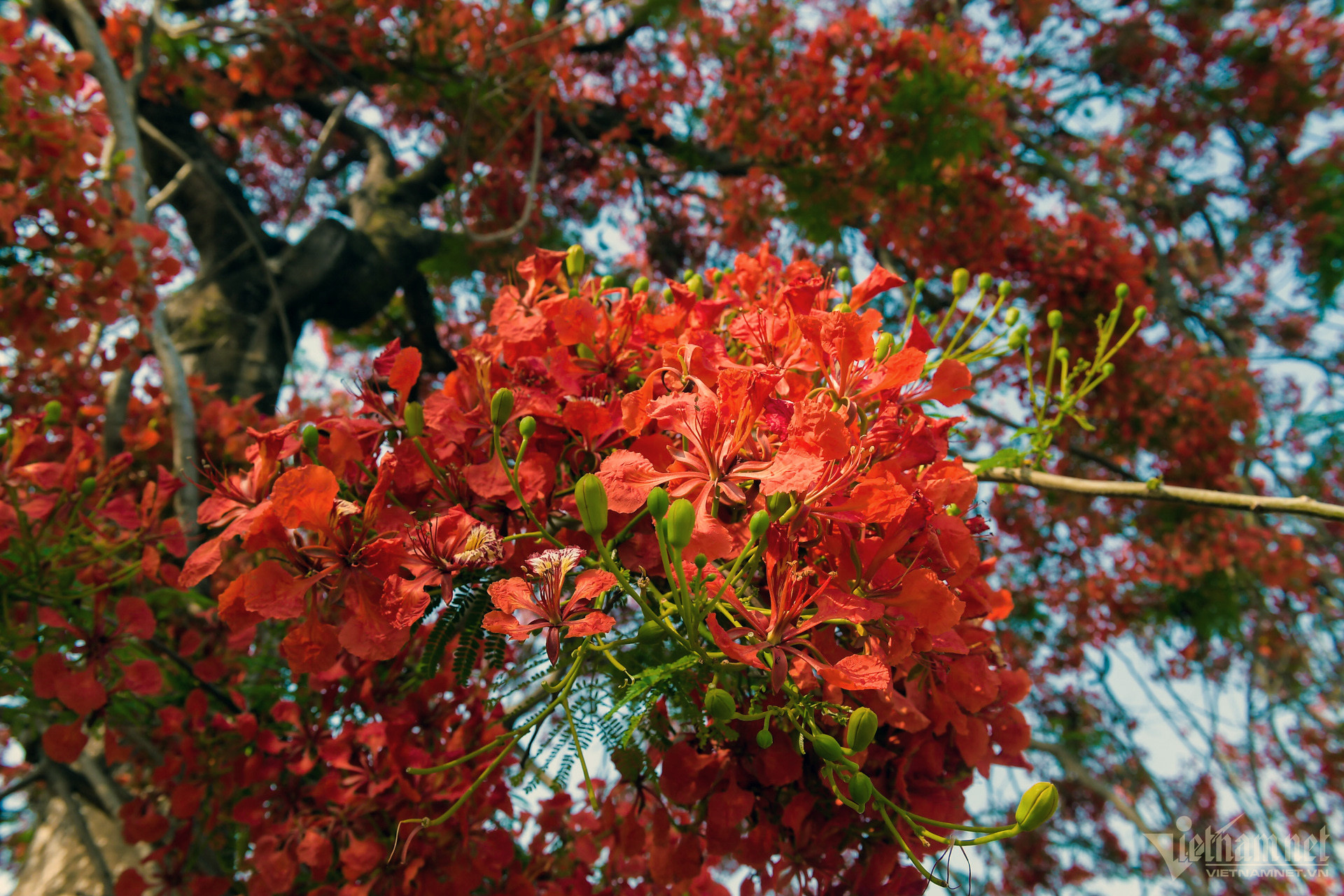 ky niem 70 nam chien thang dien bien phu .jpg